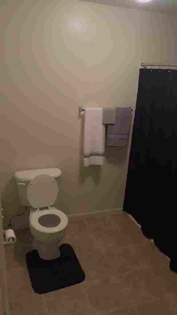 Looking for a roommate!