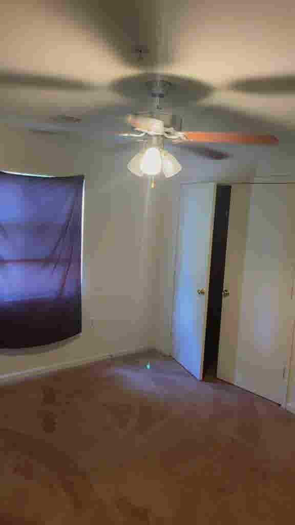 Looking for a roommate!