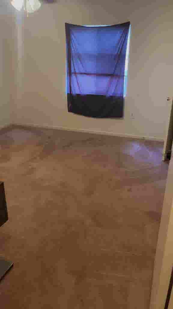 Looking for a roommate!
