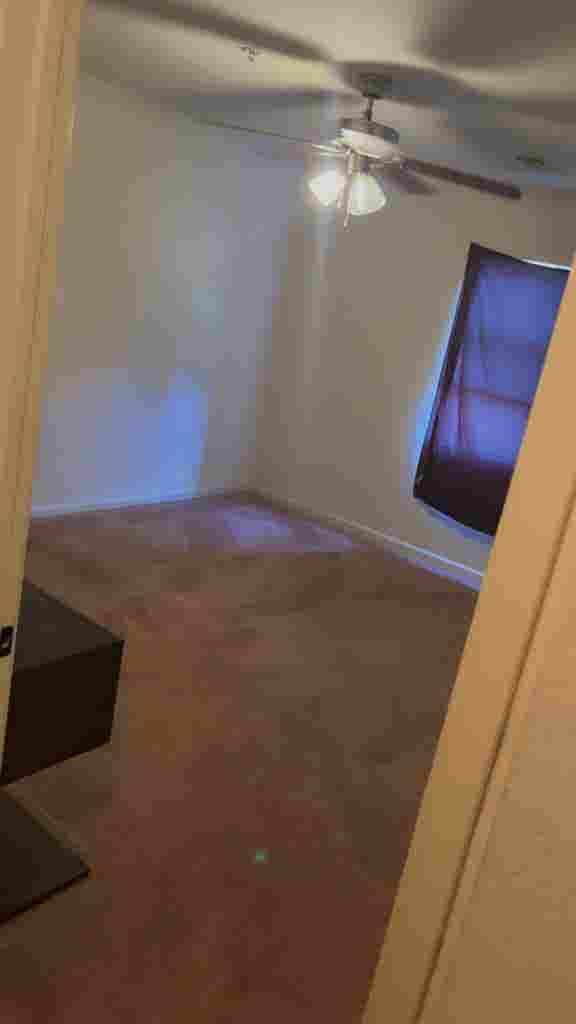 Looking for a roommate!