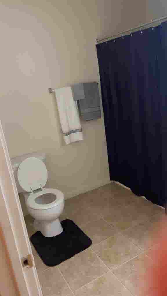 Looking for a roommate!