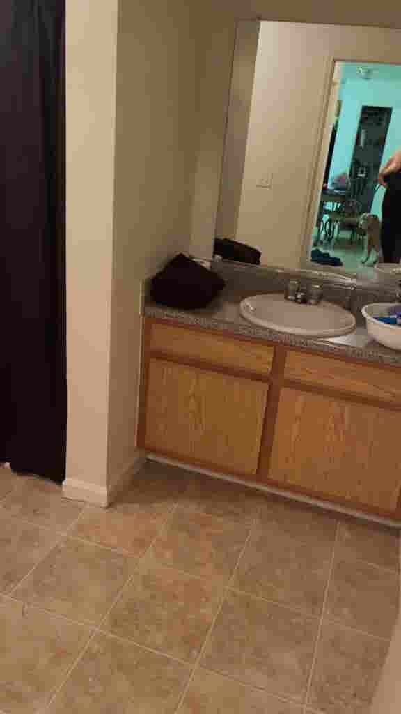 Looking for a roommate!