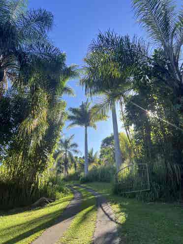 Private Room in Papaaloa
