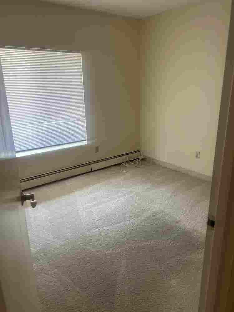 Roommate wanted