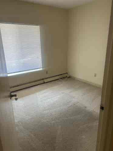 Roommate wanted