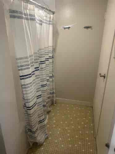 Roommate wanted