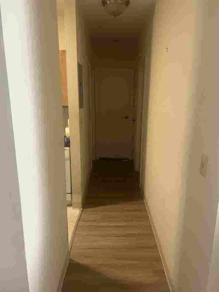Roommate wanted