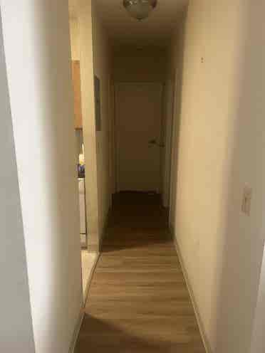 Roommate wanted