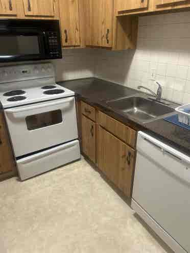 Roommate wanted