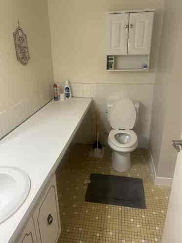 Roommate wanted