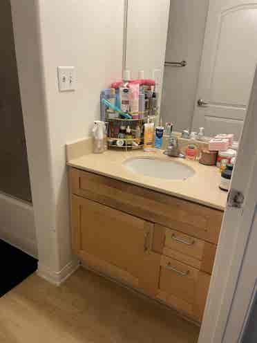 Looking for a roommate