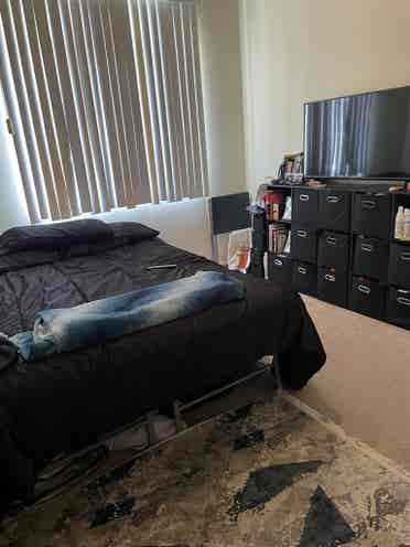 Looking for a roommate