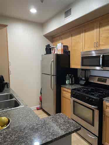 Looking for a roommate