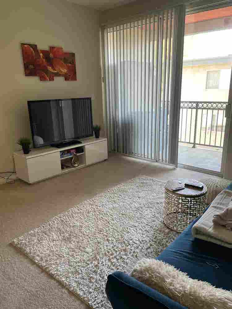 Looking for a roommate