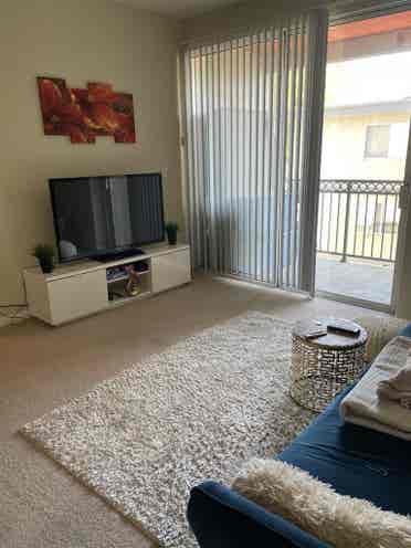 Looking for a roommate