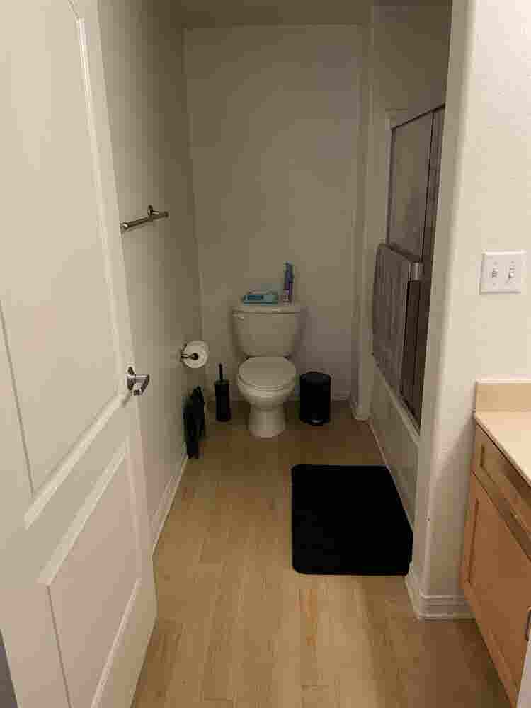 Looking for a roommate