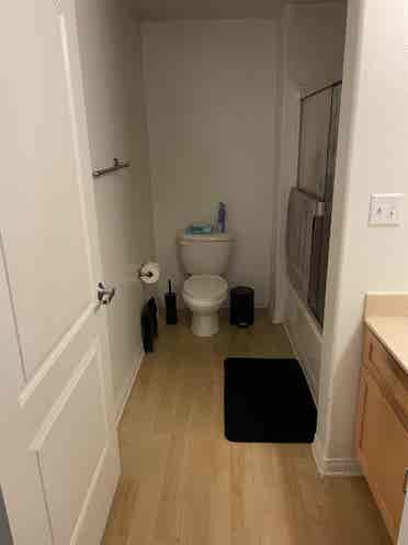 Looking for a roommate