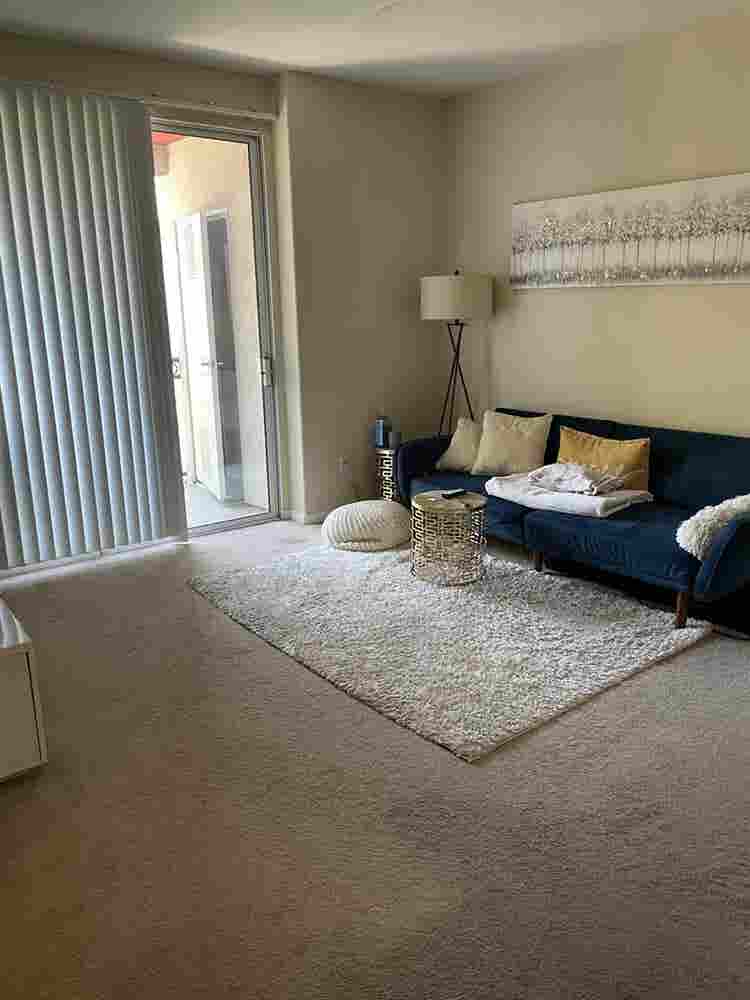 Looking for a roommate
