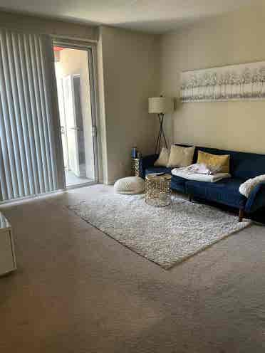 Looking for a roommate