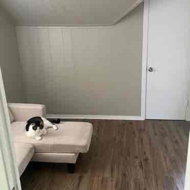 Room for rent