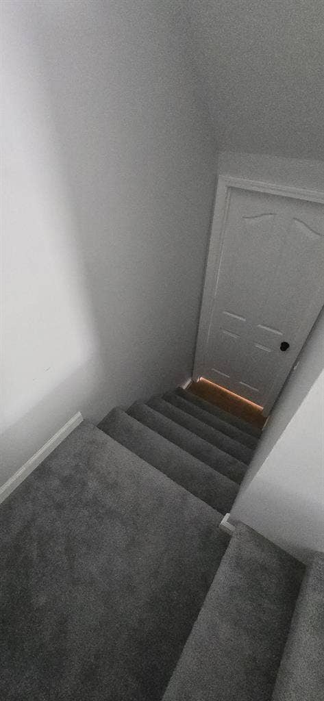 Large room for rent