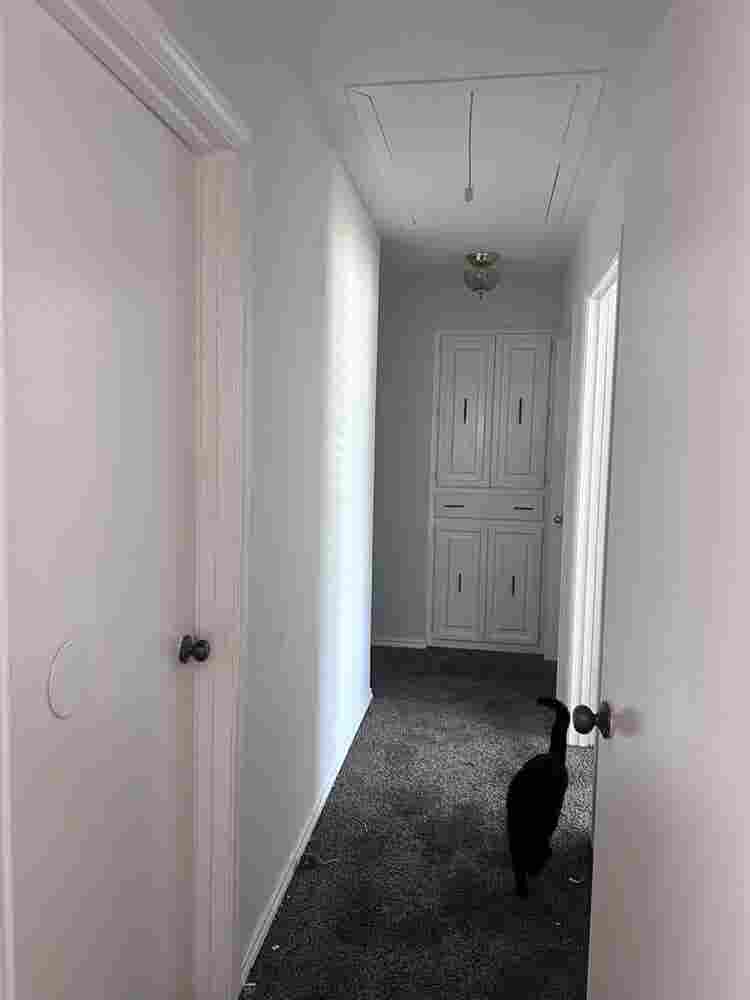 2 Rooms Open in Cozy Home (Pool)