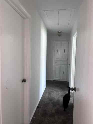 2 Rooms Open in Cozy Home (Pool)