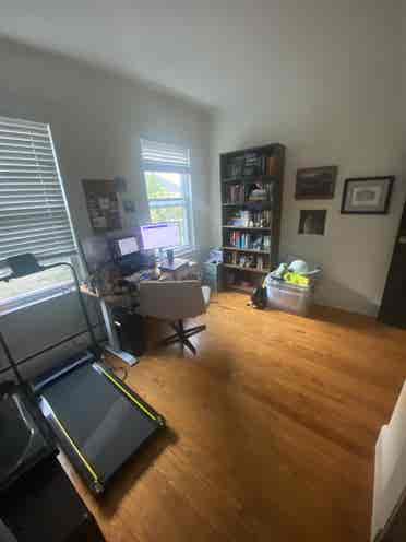 Roommate Wanted Allston/Brighton