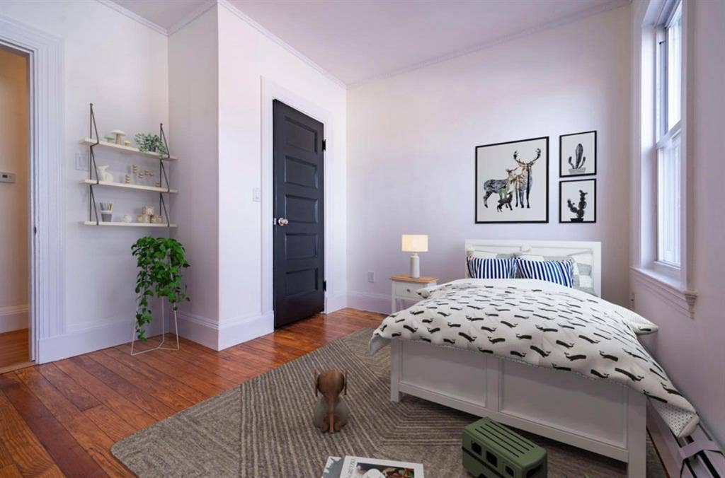 Roommate Wanted Allston/Brighton