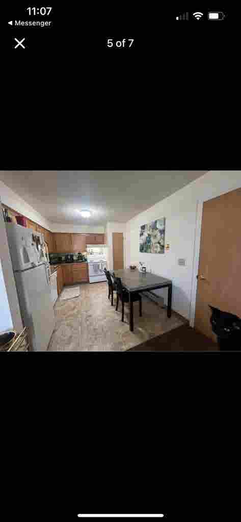 looking for female roomiee