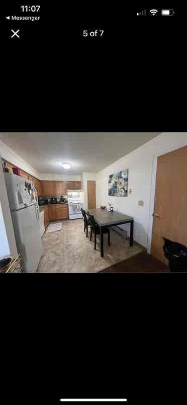 looking for female roomiee