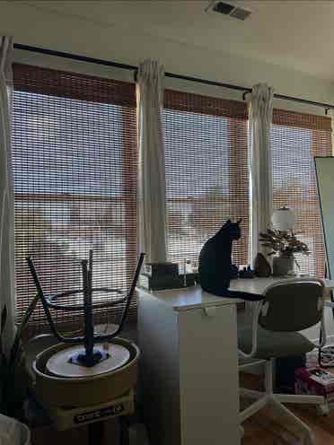 Sublet looking immediately