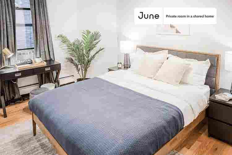 5 BR in New York City