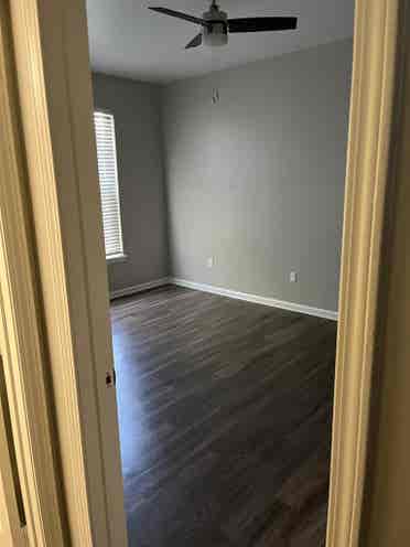 Looking for a roomate