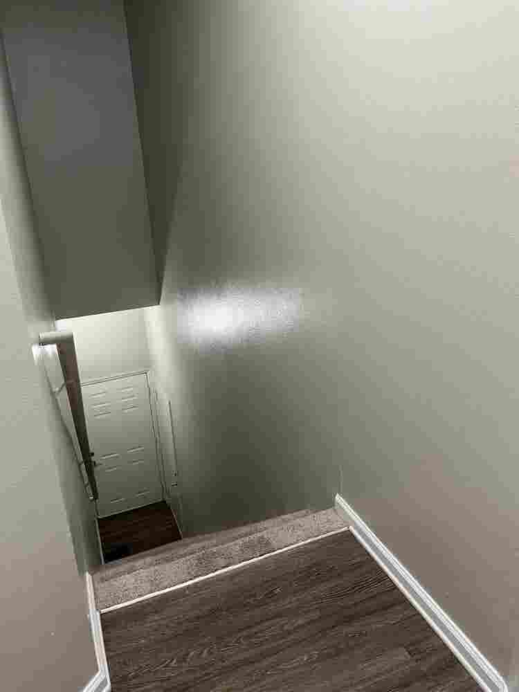 Looking for a roomate