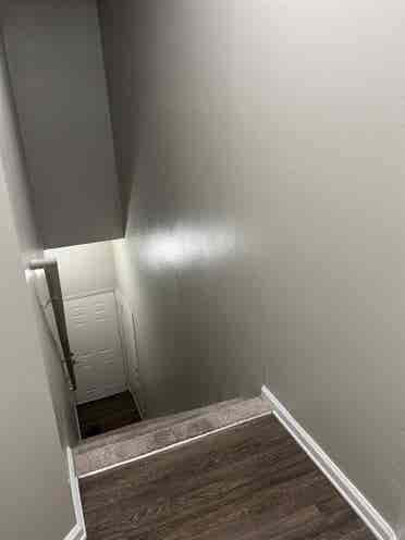 Looking for a roomate