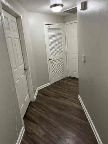 Looking for a roomate