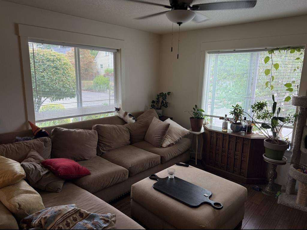 Big sunny room in ba house