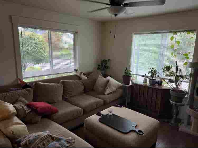 Big sunny room in ba house
