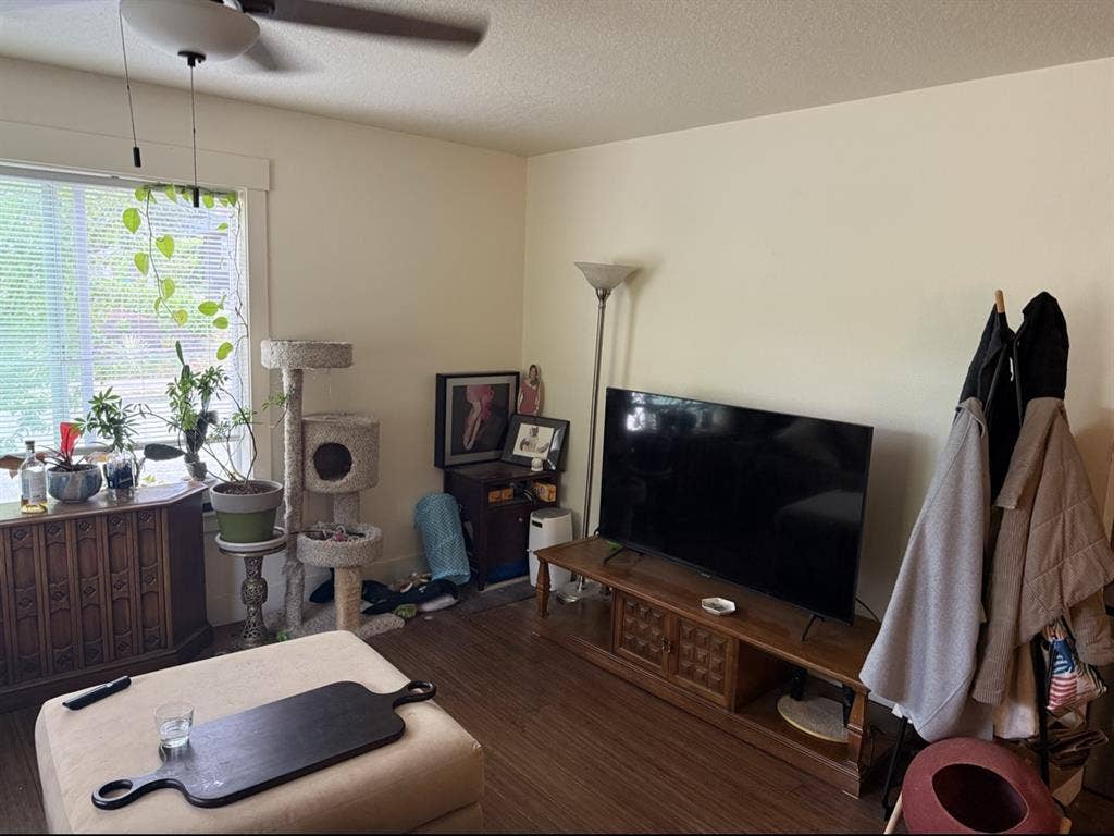 Big sunny room in ba house