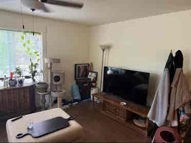 Big sunny room in ba house