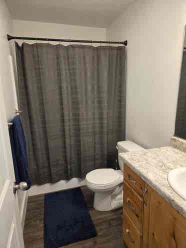 3 bedroom house looking for 1