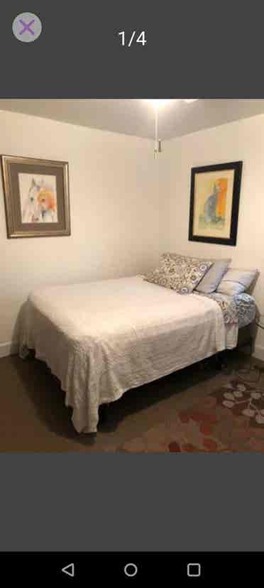 Furnished Room