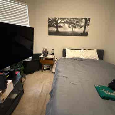 Modern Condo in Brookhaven
