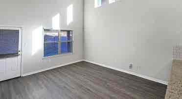 Roommates Needed!