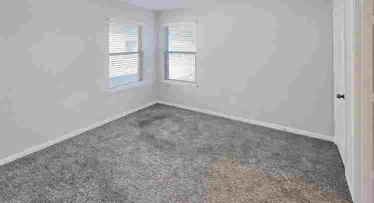 Roommates Needed!