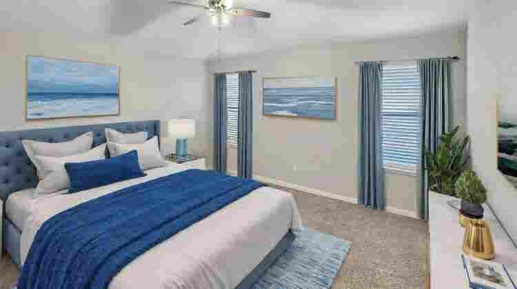 Roommates Needed!
