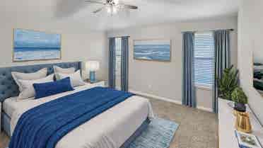 Roommates Needed!