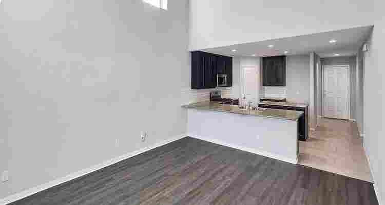 Roommates Needed!