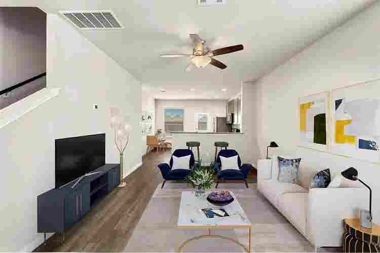 Roommates Needed!